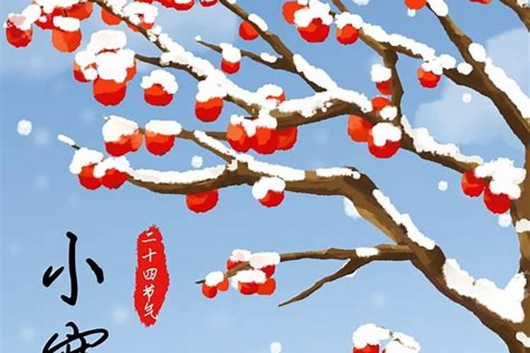 20251月5号是什么日子
