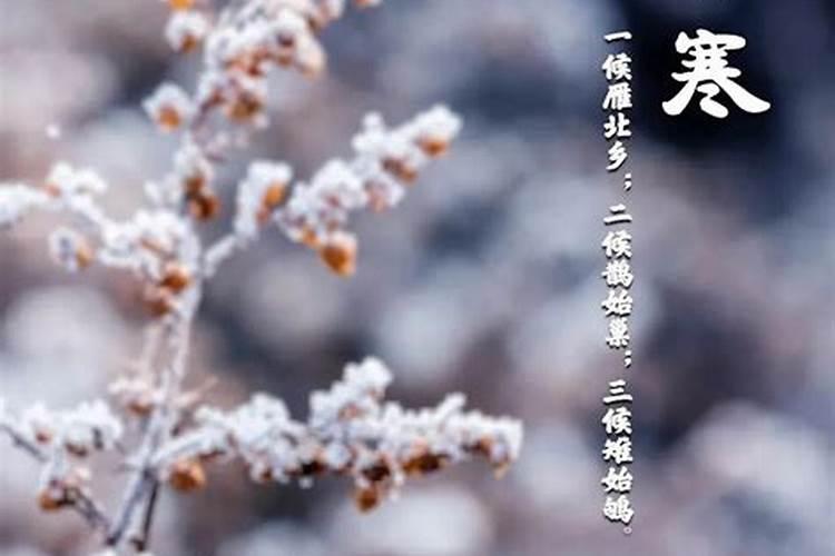 2023年小寒出生的女孩 运势解析很全面