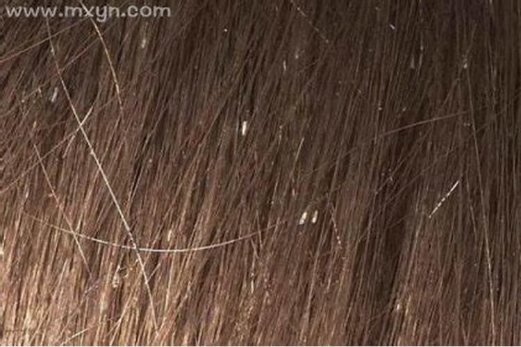 男人手相没有事业线的运势特点