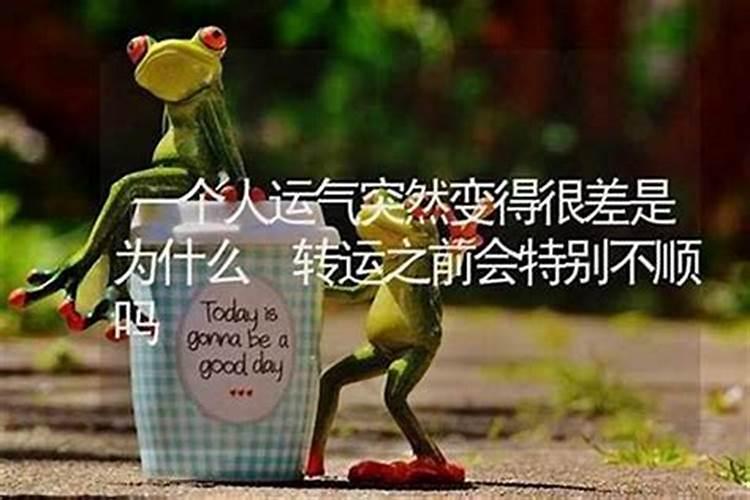 生肖马哪个时辰出生命运最好