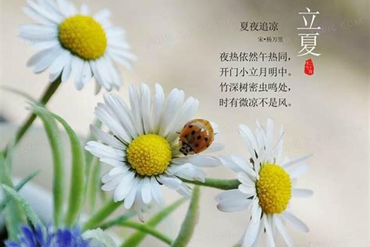 二十四节气立夏的含义是什么