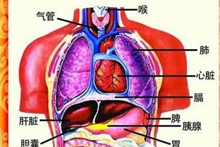 女人的招财是什么