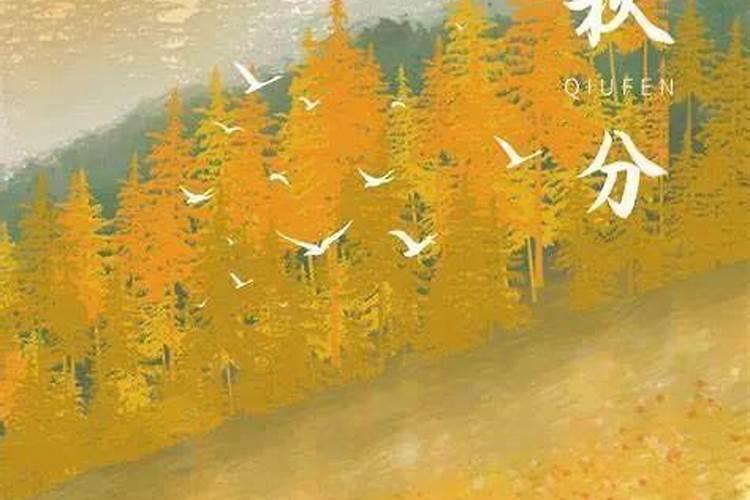 女孩出生在四绝日立春前一日是绝日？