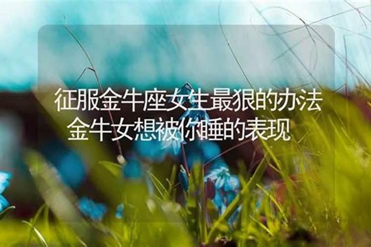 关于金牛座的爱情观和性格特点.