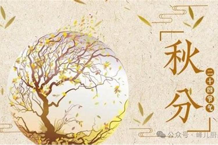 秋分前一天宜吃鸡排凉菜吗