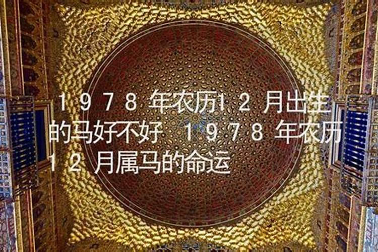 1978年腊月初三马一生运势