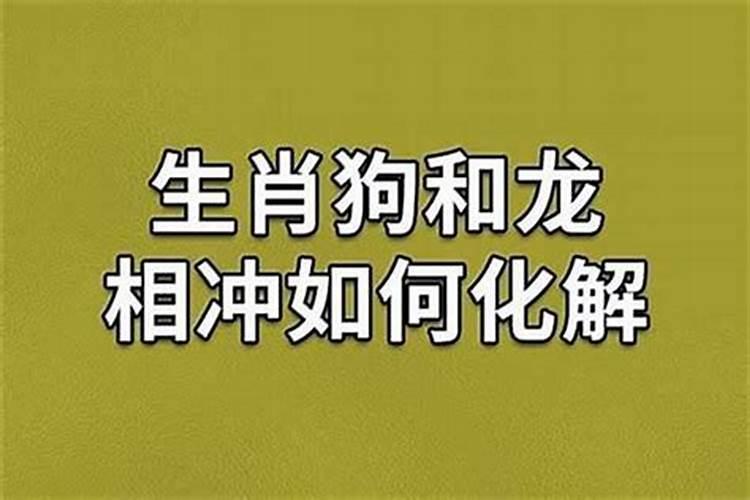 龙年范太岁的生肖