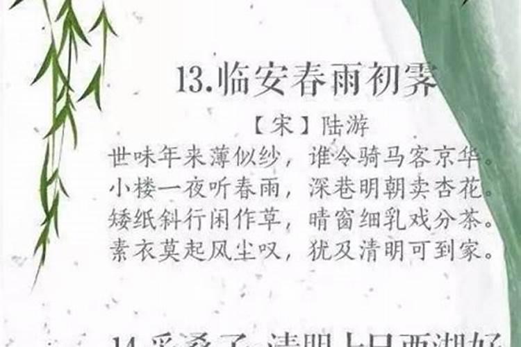 清明节的好词好句好段摘抄大全