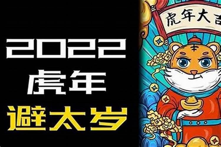 闻风而起生肖运势解读