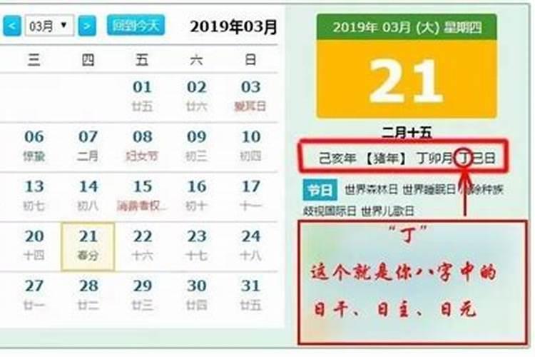 如何解读四柱八字排盘,七步学会？
