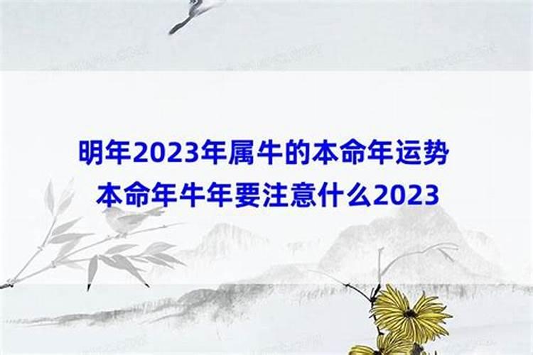 本命年禁忌哪些地方不能去本命年人墨守习俗？