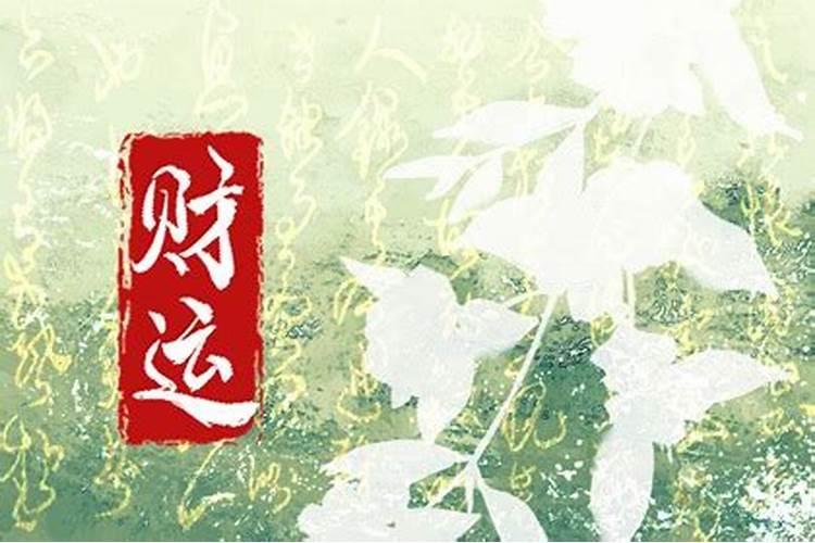 属羊的跟属鼠的在一起,属相合吗？