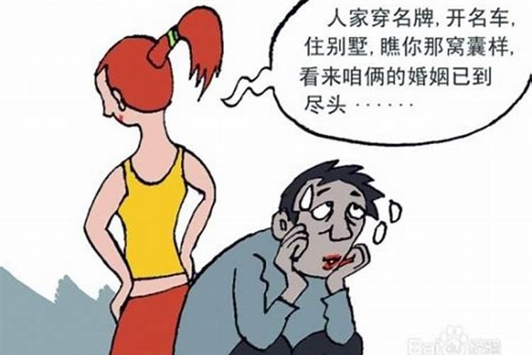 狗与猪合不合