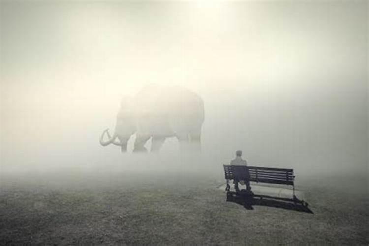 生辰八字能算出有几个孩子吗,人的生辰八字是如何计算得出的？
