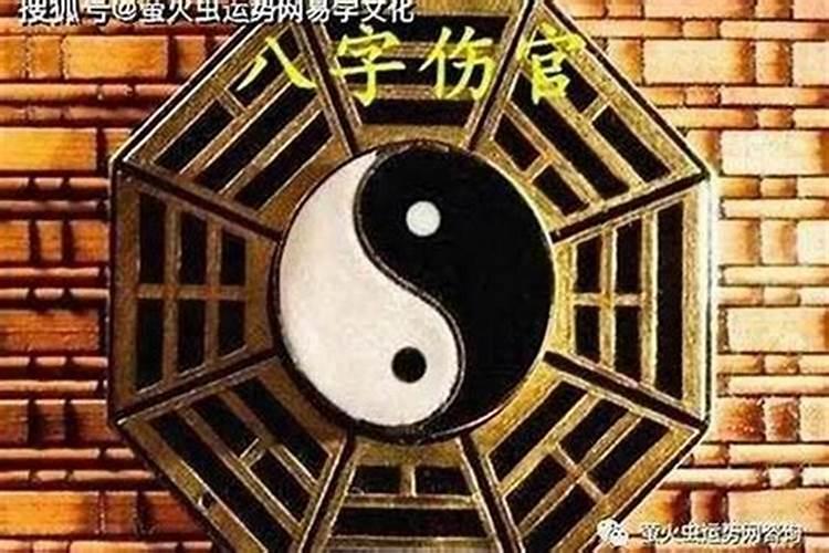 本人丙子年阴历八月初四,现在二零一六请问我几岁了