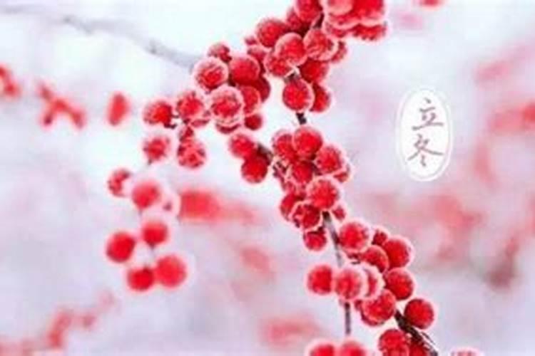 1990年属马女士[35岁]2025年情感运势透视,婚姻如何更加美满？
