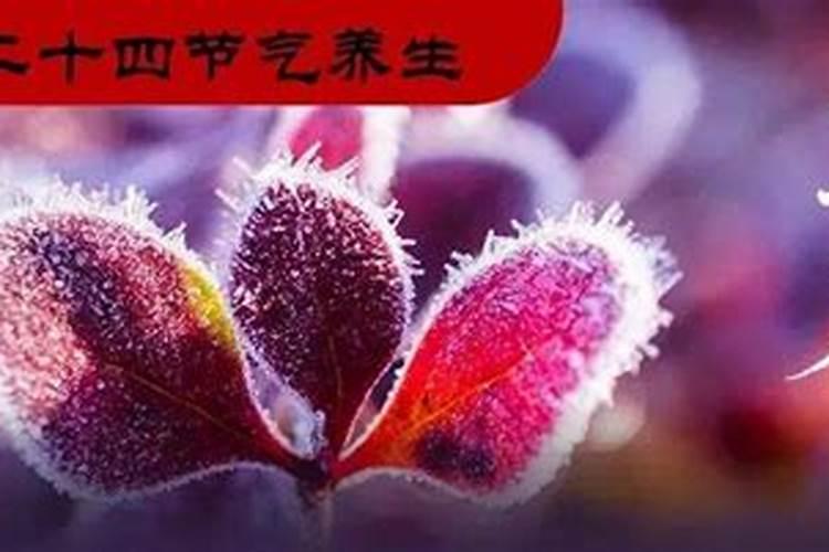 出马仙是真的吗？