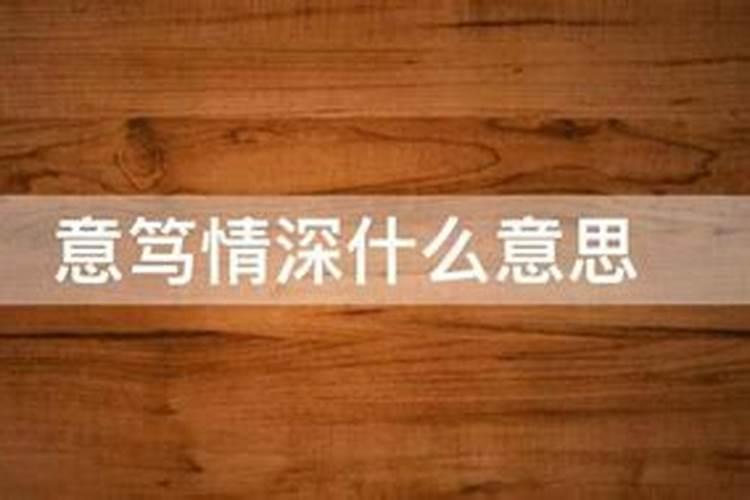 鼠年出生的人的命运怎么样？