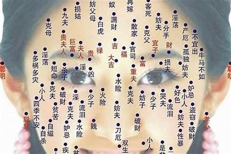 2025年犯冲的属相有哪些