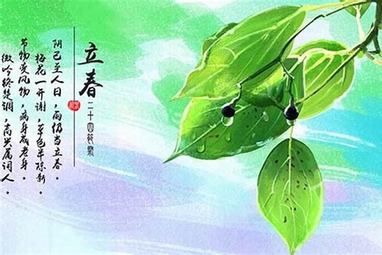 立春吃什么旺运