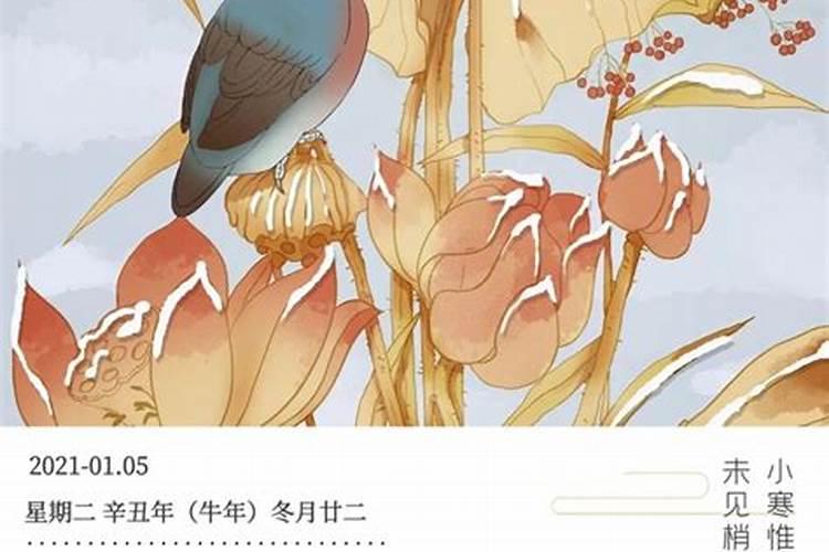 男1973年农历的冬月十二日戍时生人婚姻怎样？