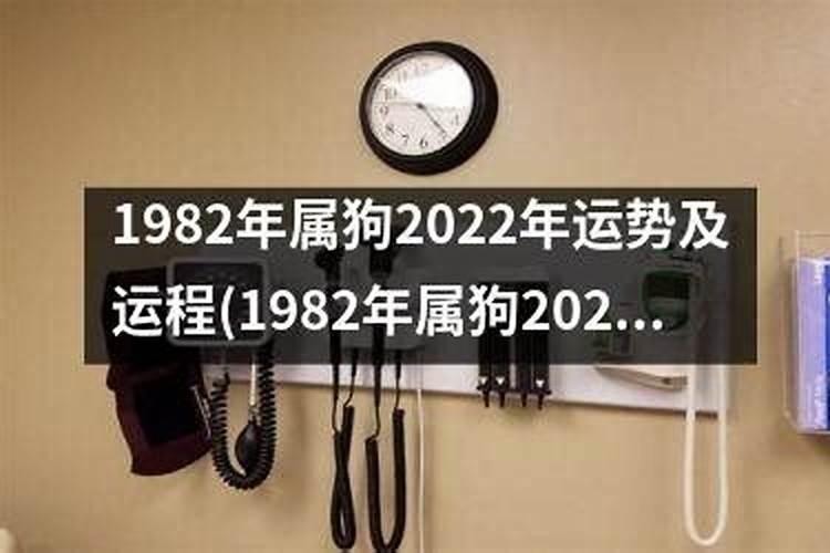 82年女狗2025农历年运势及运程每月运程