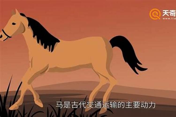 梦见骑马是什么意思周公解梦