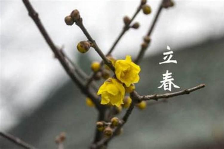 立春后的风俗有哪些