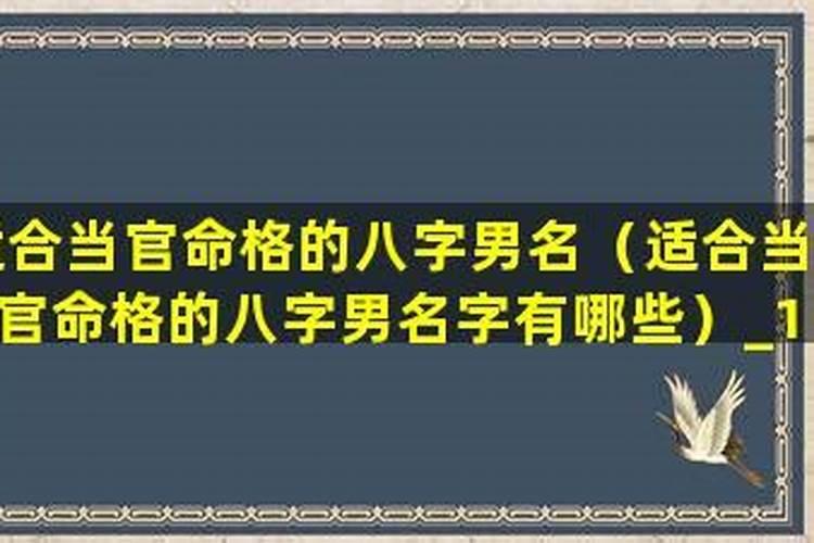当大官的八字