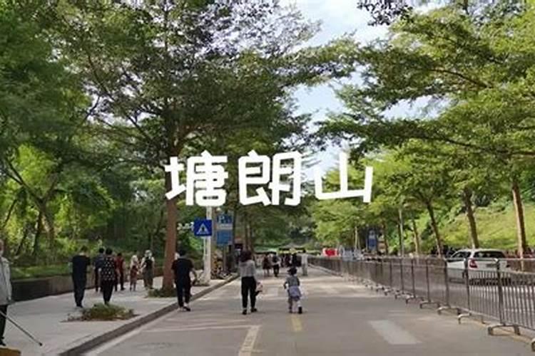 深圳有哪些节庆活动