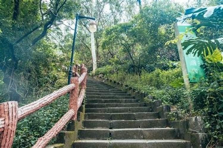 深圳笔架山、莲花山、梧桐山那个好玩一点？