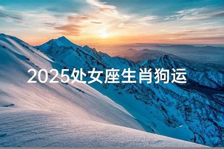 77年蛇男2025年运势完整版