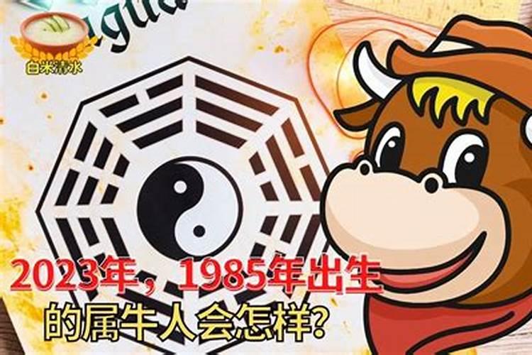 1985年属牛女一生命运 乙丑海中金命格分析？