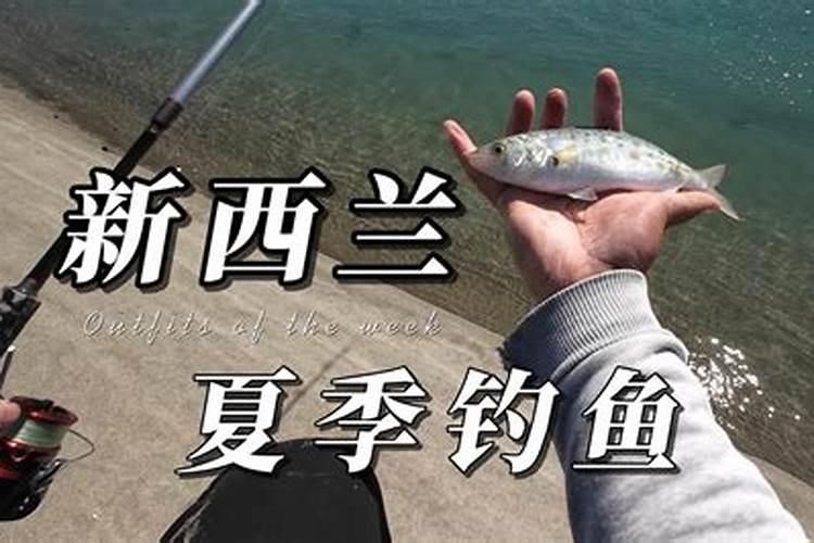 梦到自己钓鱼一条接一条