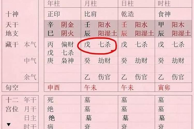 梦见马蜂窝是什么预兆