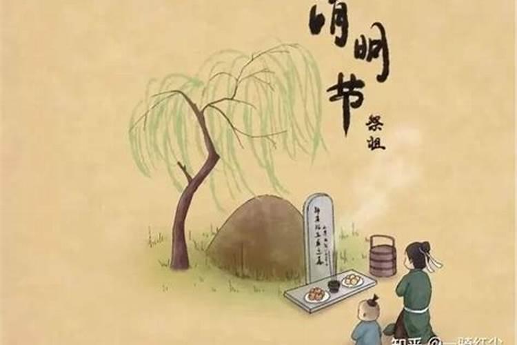 清明节为什么要折柳？