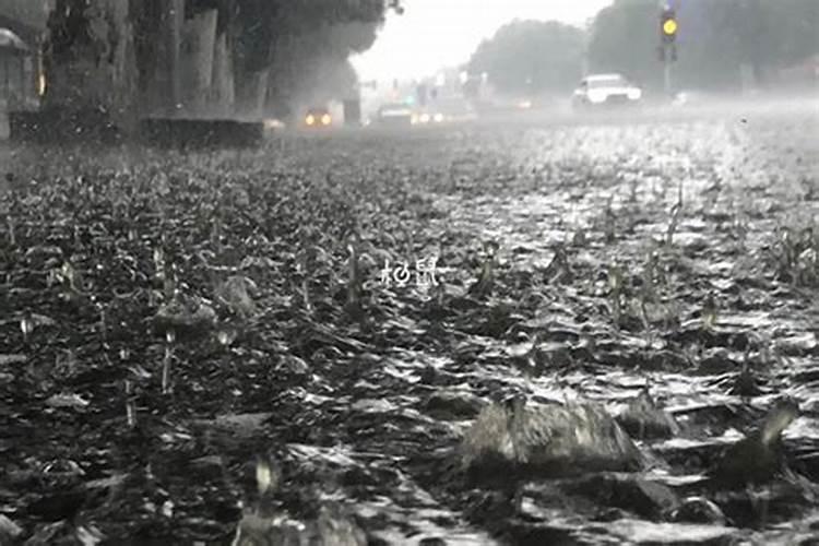 梦见闪电打雷下大雨有什么意思
