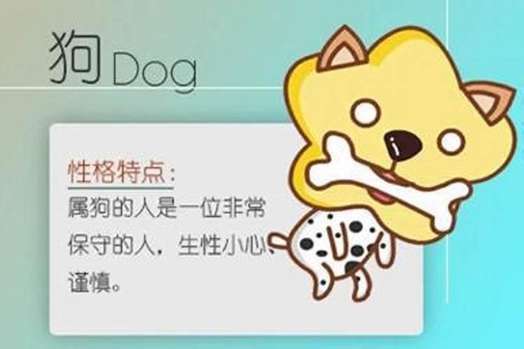 这几个生肖的人千万不能养猫 是否可以化解