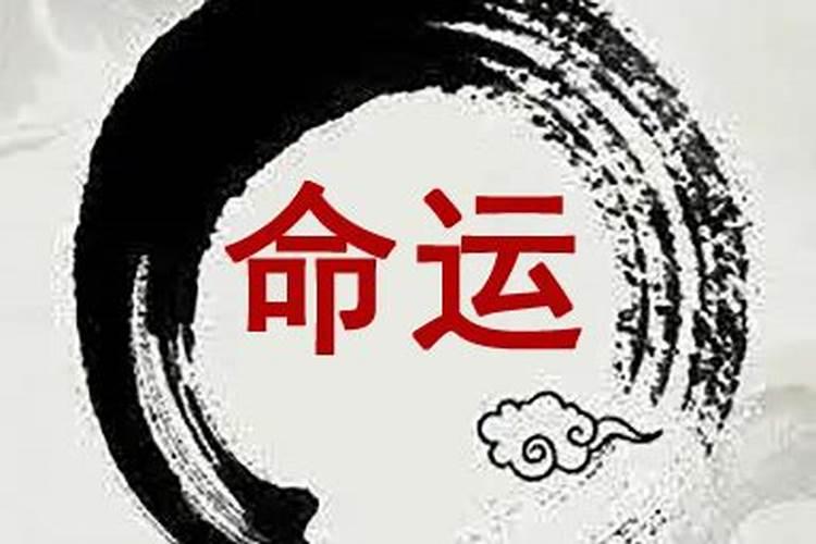 1980年2025年属猴的运势详解