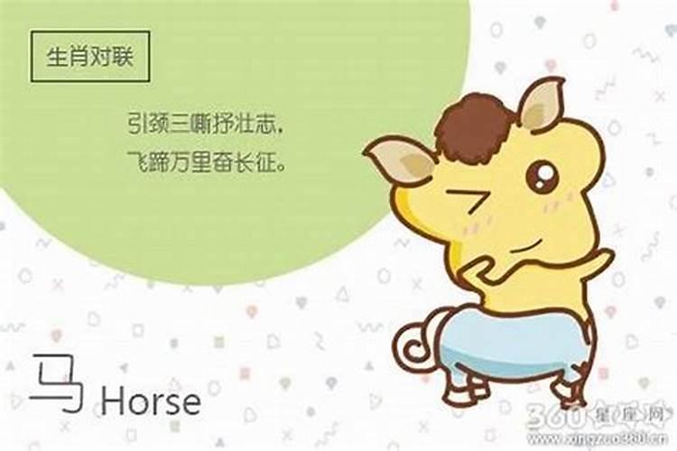 属马女和属兔男的婚姻配吗