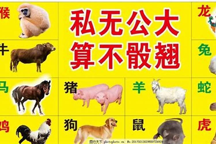 十二生肖中大公无私的是哪种动物？