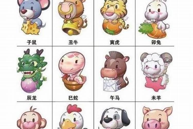 大公无私打一生肖