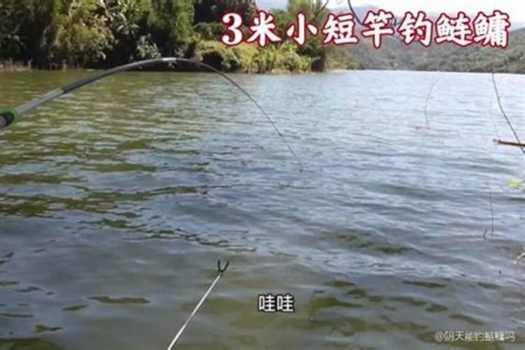 鬼节可以钓鱼吗