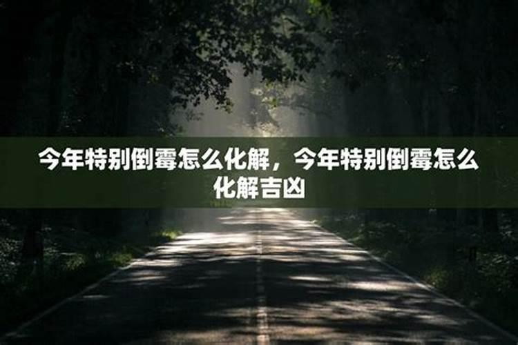 2025款福特蒙迪欧怎么样？设计与配置分析