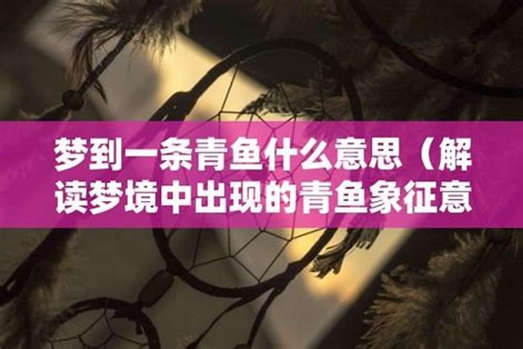 梦见青蛙是什么预兆