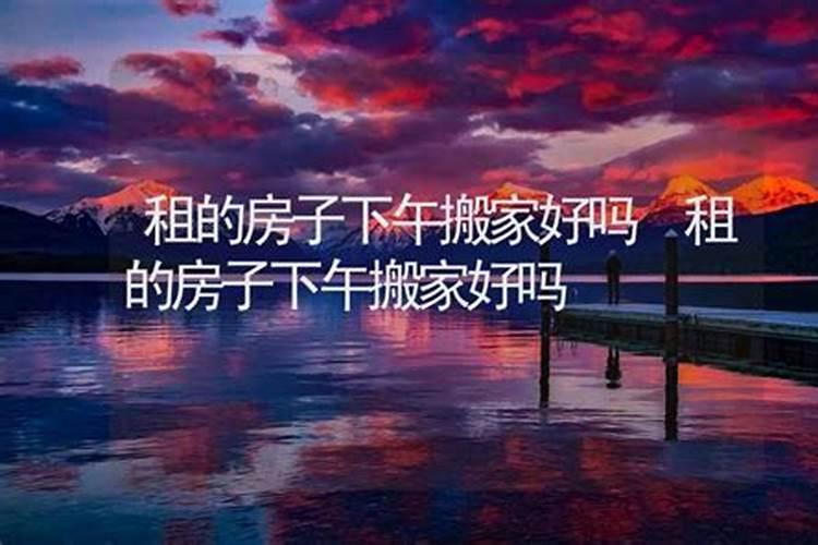 生肖羊2025年运势 属羊2025年运势及运程