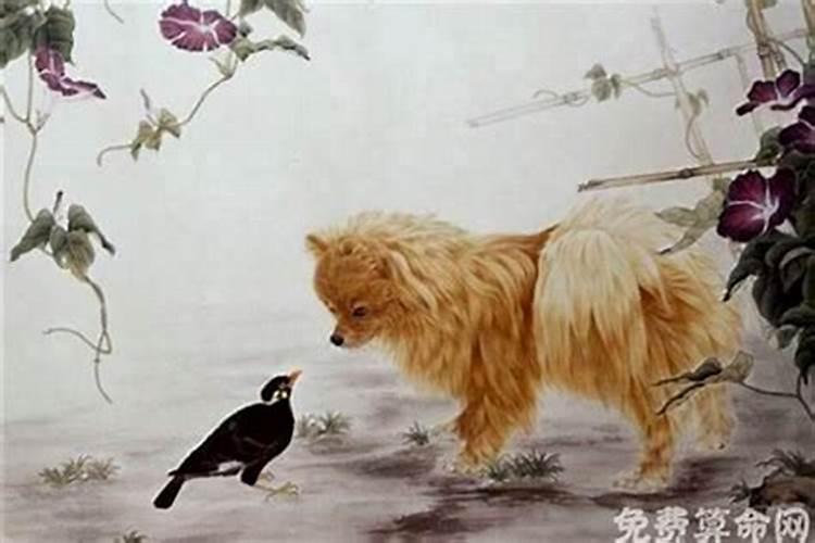 为什么国外没有太岁的报导和研究