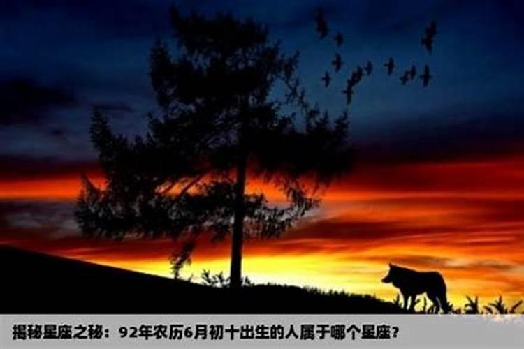 农历1992年10月初一午时出生命运