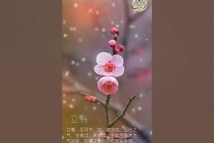 立春当天需要注意什么