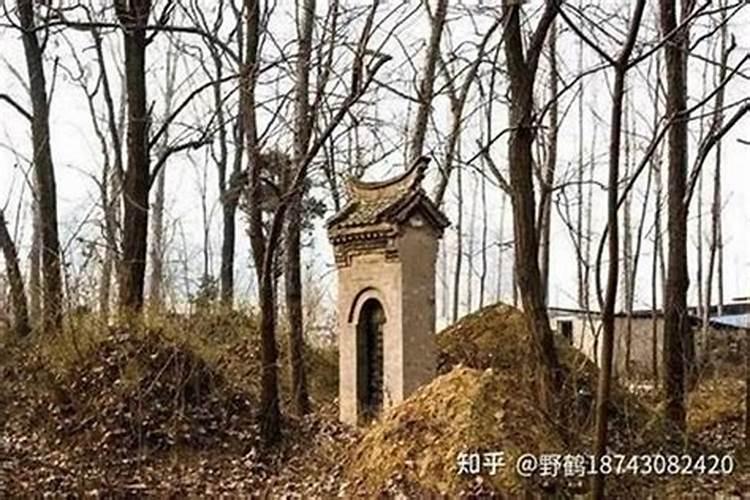 梦见老家房屋倒塌意味着什么预兆